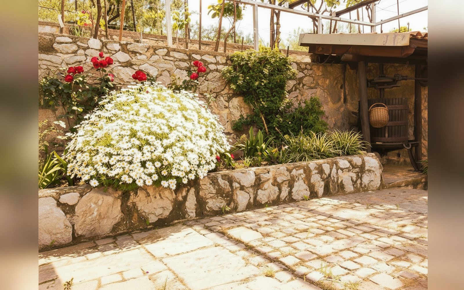 Un angolo fiorito del giardino