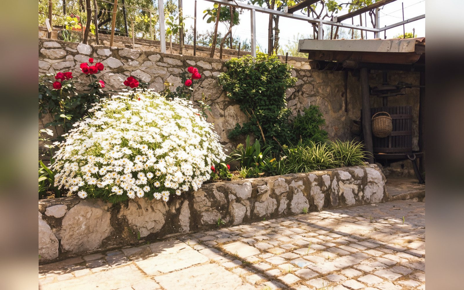 La Torretta bianca — Fiori e muretti in pietra